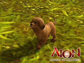 Illustration for article titled Aion's Assault On Balaurea Bonus Pets Are Functional As Well As Ornamental